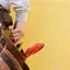 Handyman repair service in Buffalo, NY for home fixes and improvements